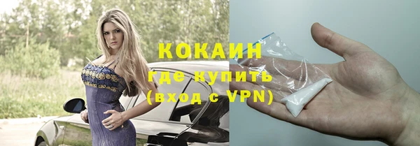 прущие грибы Болотное