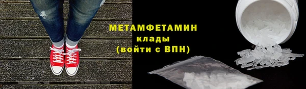 прущие грибы Болотное
