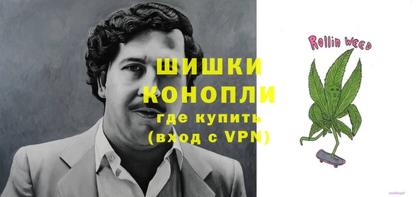 прущие грибы Болотное