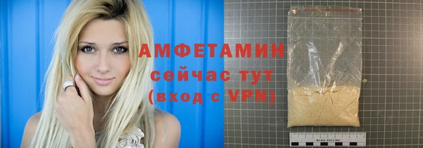 прущие грибы Болотное