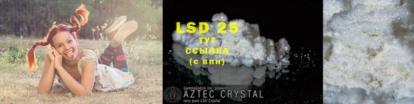 прущие грибы Болотное