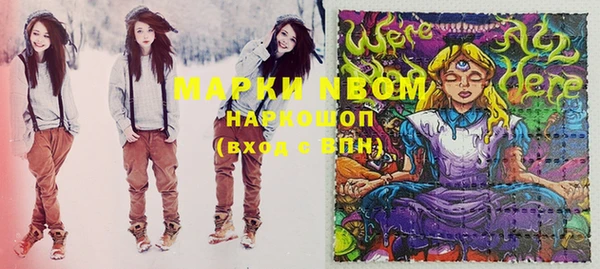 прущие грибы Болотное