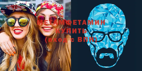 прущие грибы Болотное