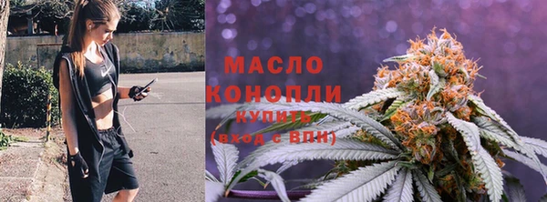 прущие грибы Болотное