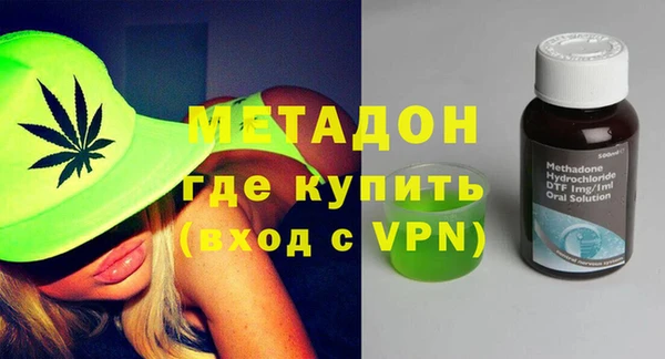 прущие грибы Болотное