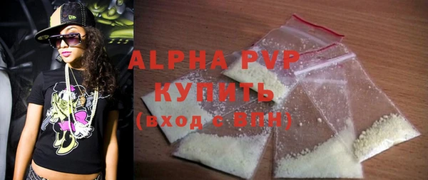 прущие грибы Болотное