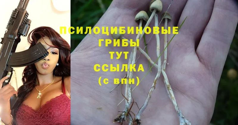 Галлюциногенные грибы мицелий  Голицыно 