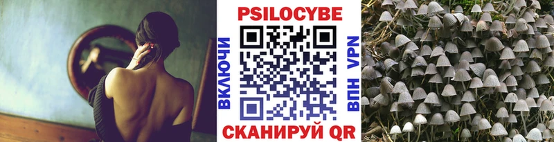 хочу   Голицыно  Галлюциногенные грибы MAGIC MUSHROOMS 